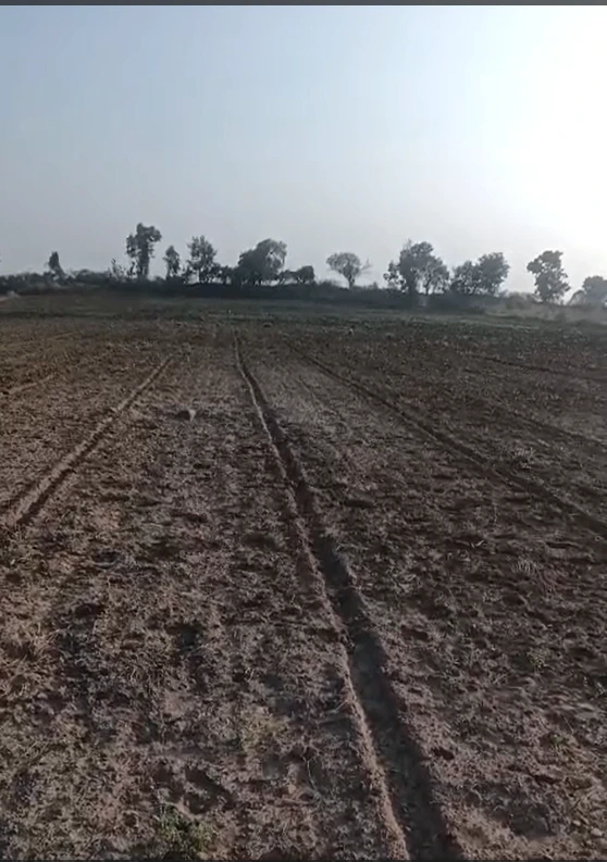 RP45+M7R, Jaipur, Bhankrota, Rajasthan, India