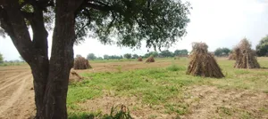 Semli, Rajasthan, India preview 2