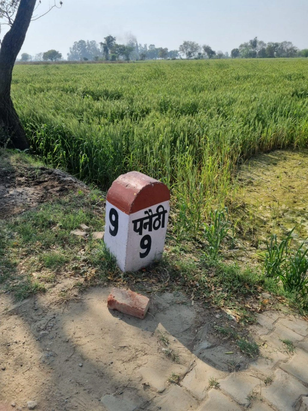 Sikandarpur Machhua, Uttar Pradesh 202125, India