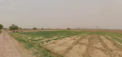 6 06, Sahejpur, Rajasthan 301026, India preview 2