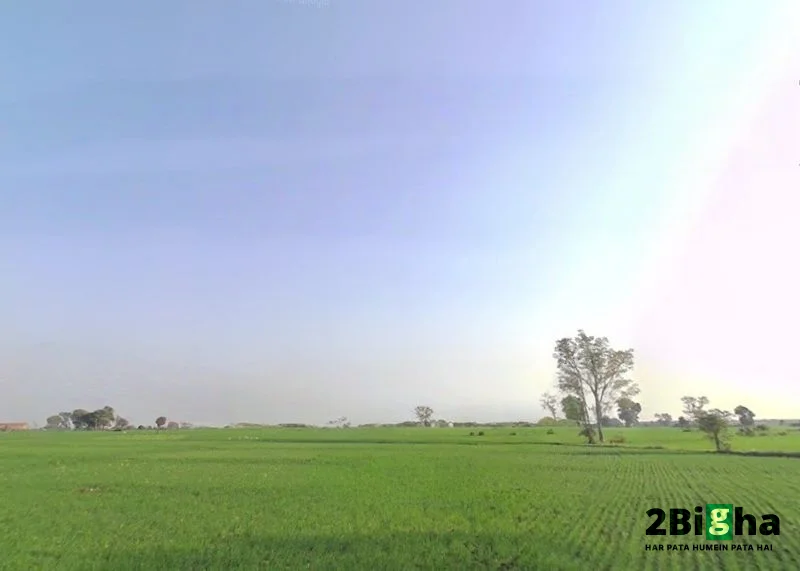 Ratibad, Madhya Pradesh 462044, India preview 3