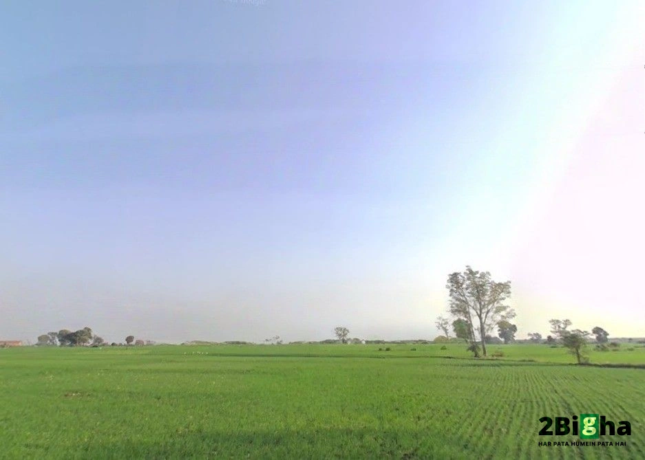 Ratibad, Madhya Pradesh 462044, India