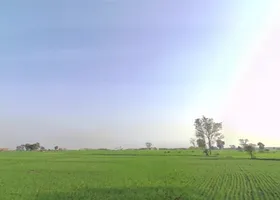 Ratibad, Madhya Pradesh 462044, India preview 3