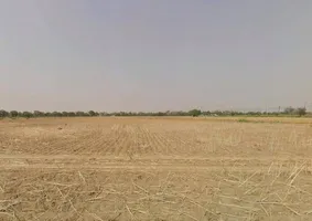 8P7F+C7F, Inchhapuri, Haryana 122414, India preview 2