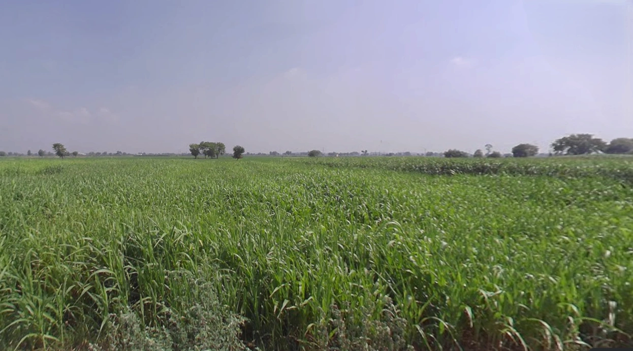 Panpur, West Bengal 711401, India