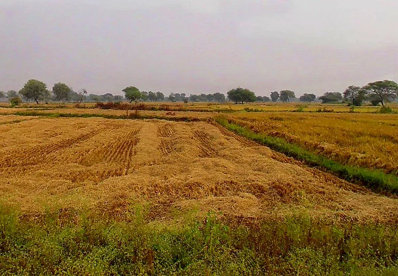 Baktara-2, Chhattisgarh 493661, India preview 3