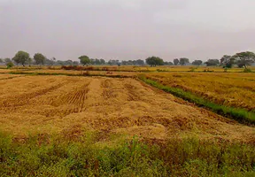 Baktara-2, Chhattisgarh 493661, India preview 3