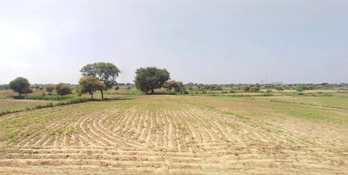 Patiyali, Uttar Pradesh 207243, India preview 2