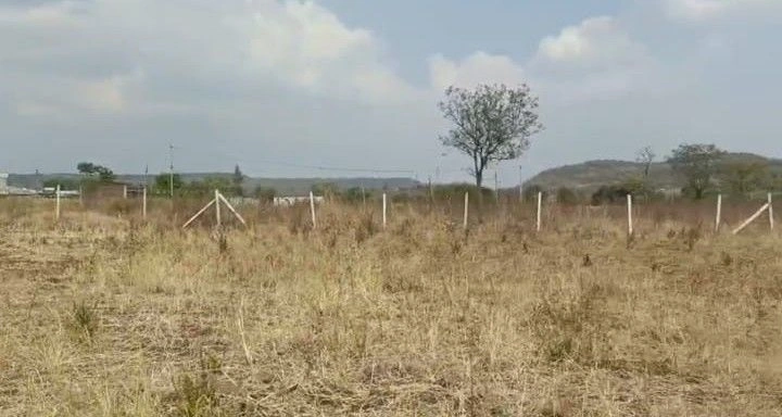 9Q5X+VG5, Vikarabad, Kondapur Khurd, Telangana, India