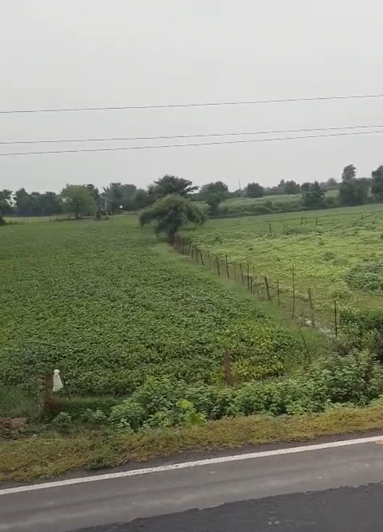 7JJQ+X25, Mandsaur, Bardiya Amra, Madhya Pradesh 458880, India