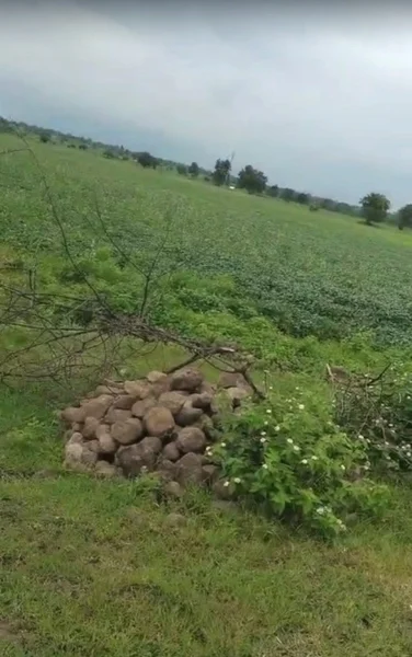 Barkheda Jat, Madhya Pradesh 458220, India preview 4