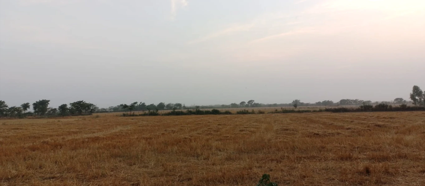 Barnagar, Madhya Pradesh 456771, India