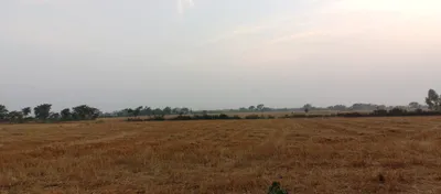 Barnagar, Madhya Pradesh 456771, India preview 2