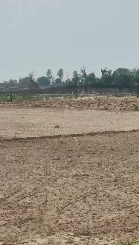 JPHH+R3Q, Ajmer, Ararka, Rajasthan 305811, India