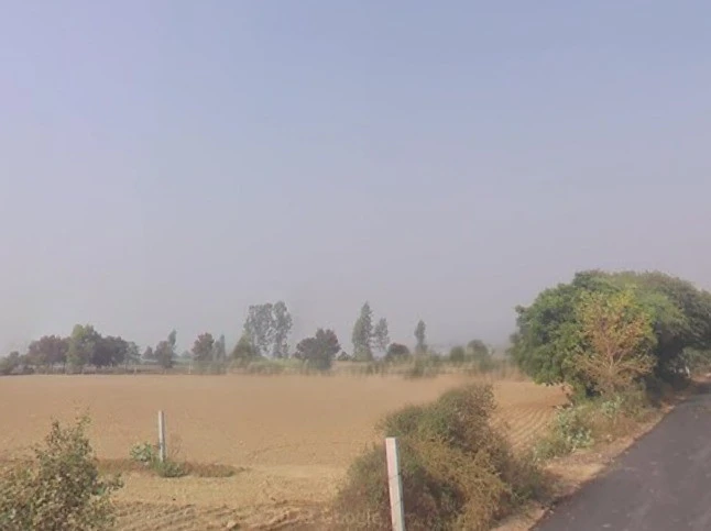 Kalanaur, Haryana 124113, India