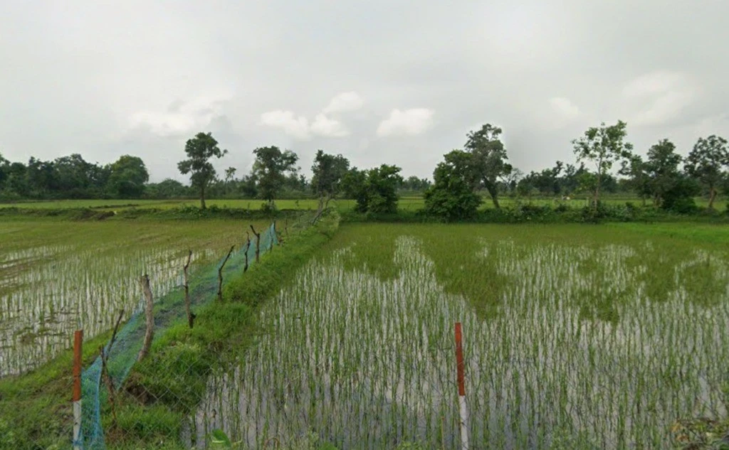 Mohtarai, Chhattisgarh, India