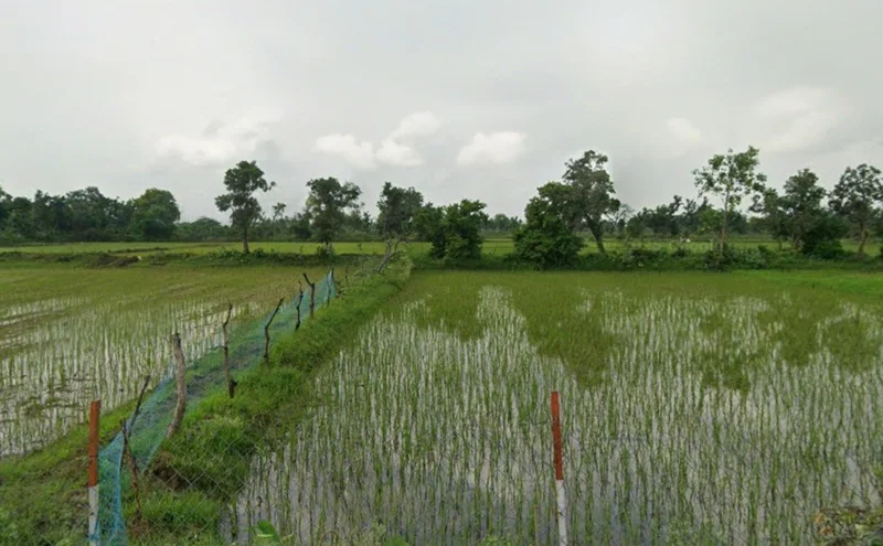 Mohtarai, Chhattisgarh, India preview 3