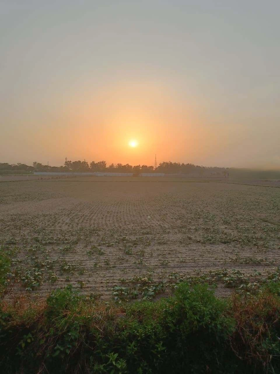 Chandauri, Uttar Pradesh, India