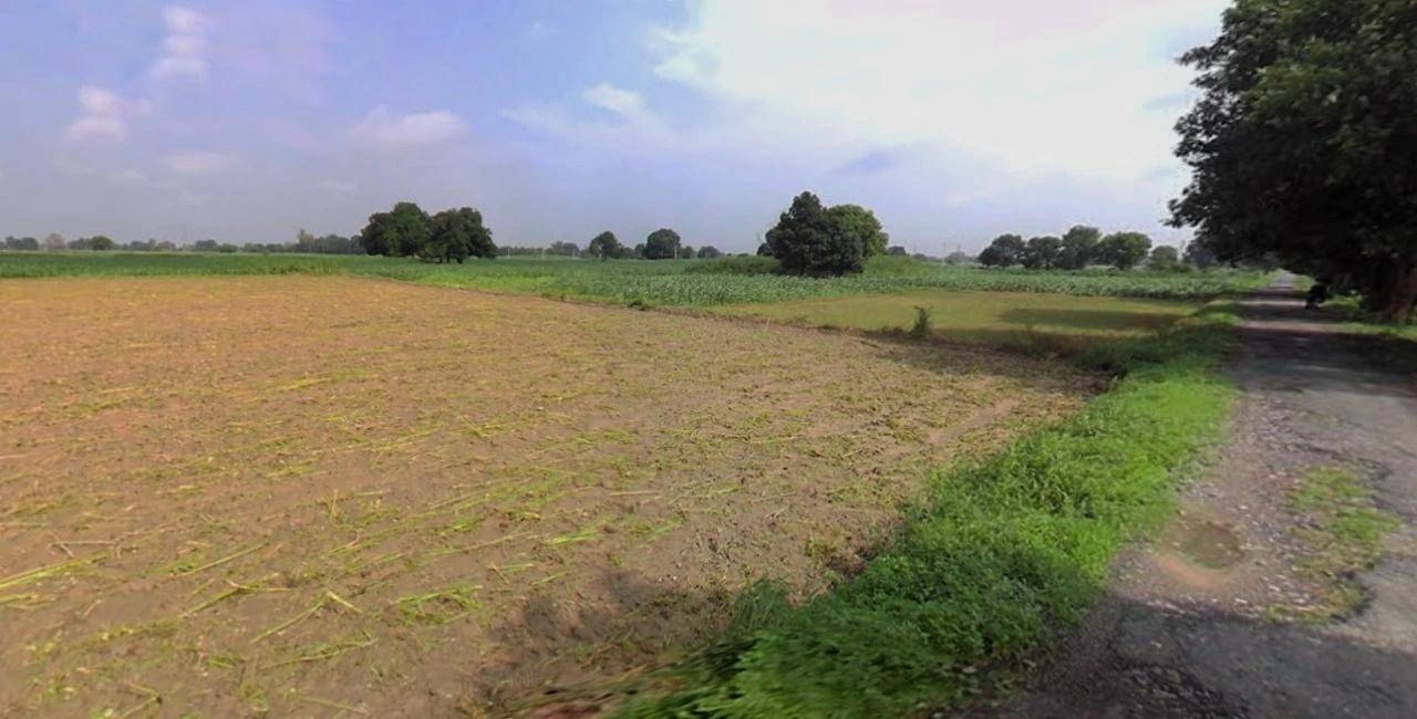 Jhajjar, Haryana 124103, India