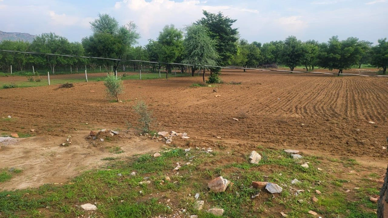 4XGH+X29, Ani, Rajasthan 303002, India