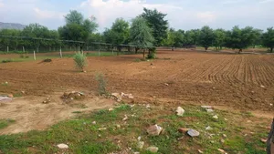 4XGH+X29, Ani, Rajasthan 303002, India preview 3