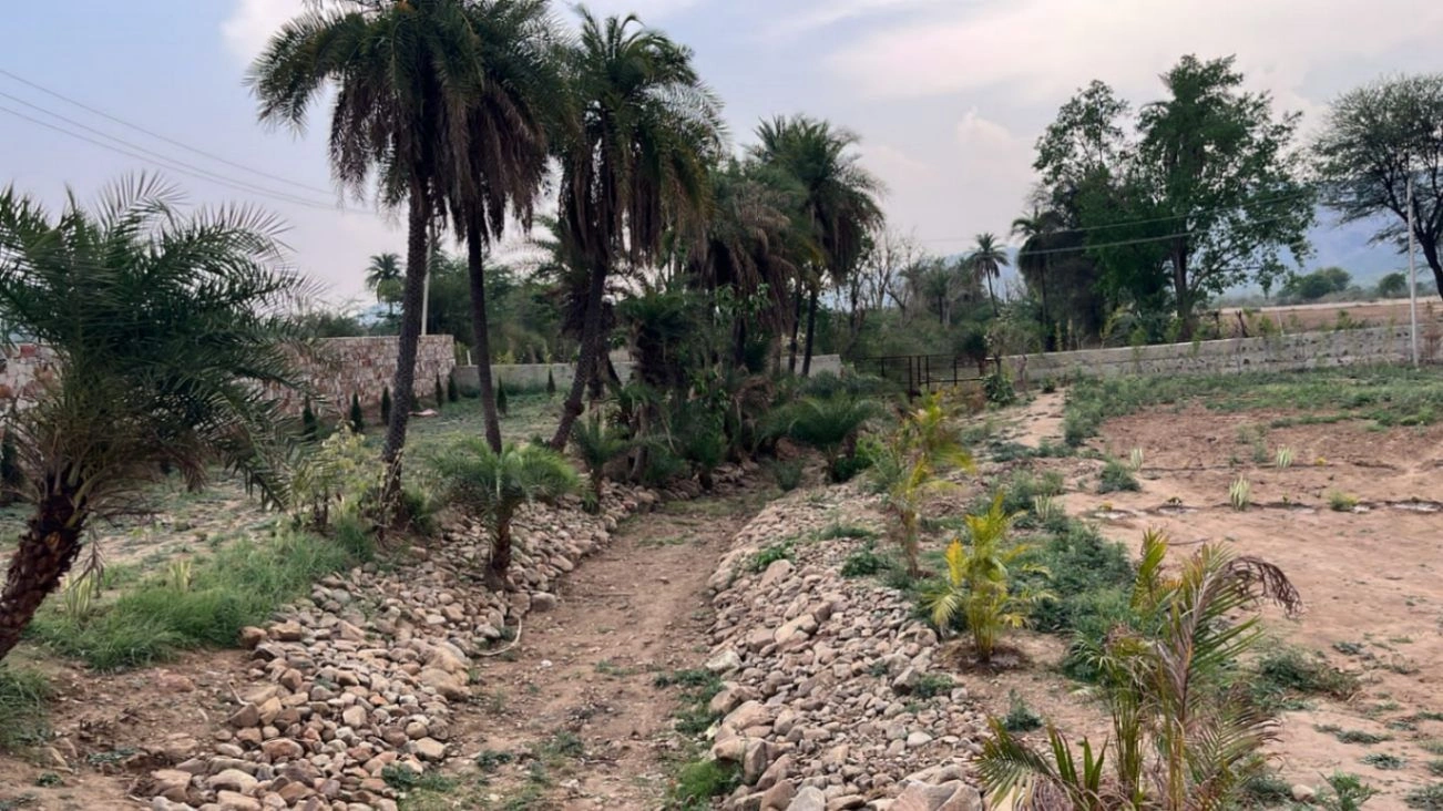 HFXG+59 Rundh Sundarwas, Rajasthan, India