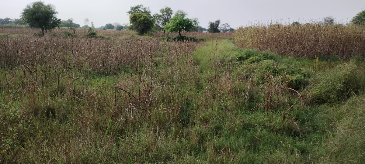 Nagla Faujdar, Rajasthan 321203, India