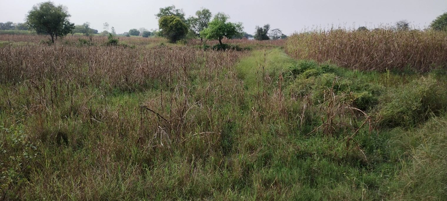 Nagla Faujdar, Rajasthan 321203, India