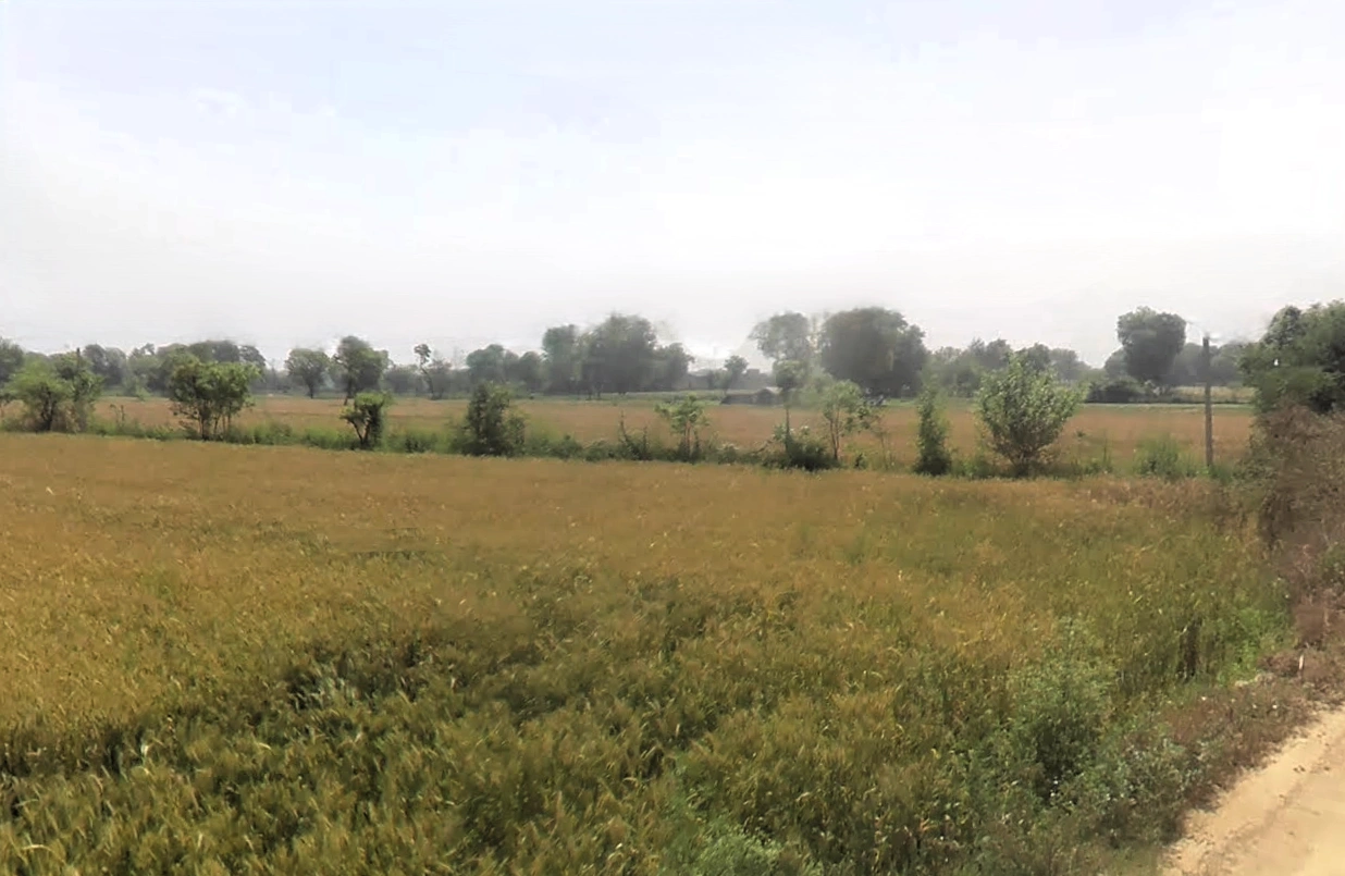 Pahladpur, Haryana 121004, India