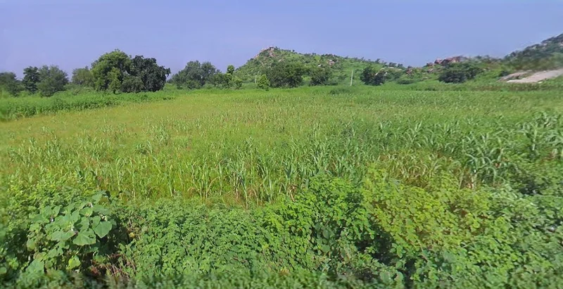 Chitrakoot Dham, Uttar Pradesh 210205, India preview 3