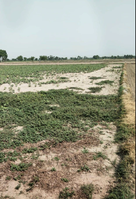 Ramgarh, Rajasthan 301026, India