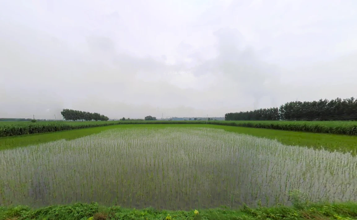 Jagadhri, Haryana, India