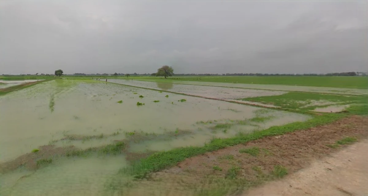 Kothi, Madhya Pradesh 485666, India