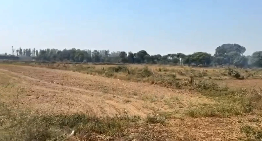 VX5W+J4R, Jaipur, Ramsar Palawala, Rajasthan, India
