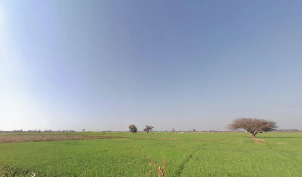 Old Talav Road, Jhajjar, Haryana 124103, India
