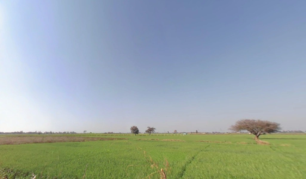 Old Talav Road, Jhajjar, Haryana 124103, India