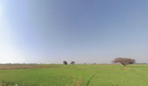 Old Talav Road, Jhajjar, Haryana 124103, India preview 3
