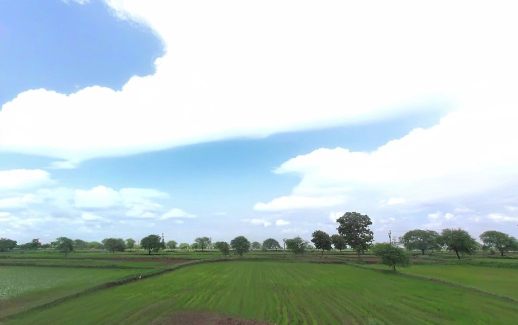 Junwani, Chhattisgarh 493778, India