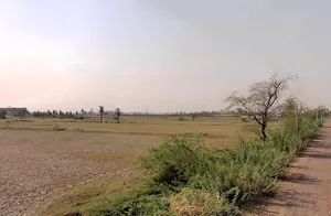 Kabulpur Bangar, Haryana 121004, India preview 2