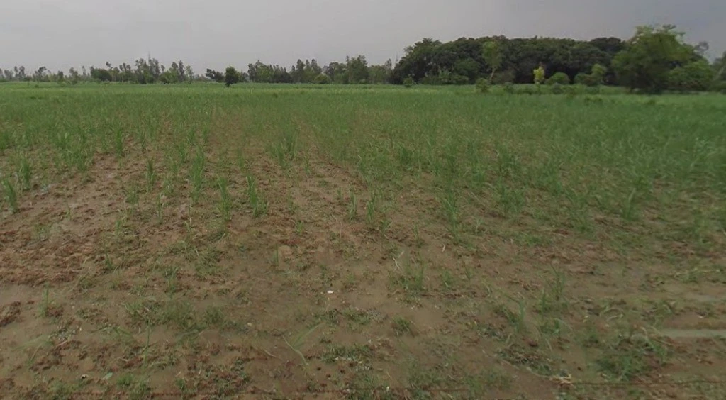 Maholi, Uttar Pradesh 261141, India