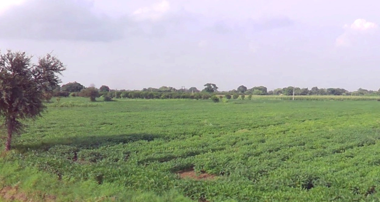 Barnagar, Madhya Pradesh 456771, India