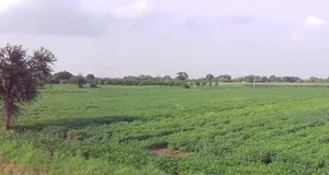 Barnagar, Madhya Pradesh 456771, India preview 3