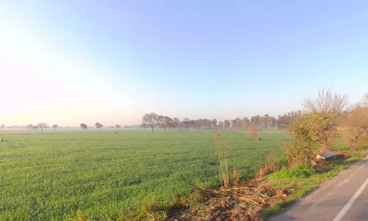 Beri - Jhajjar Marg, Haryana, India