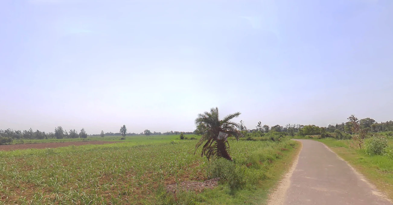 Tentigaon, Uttar Pradesh, India