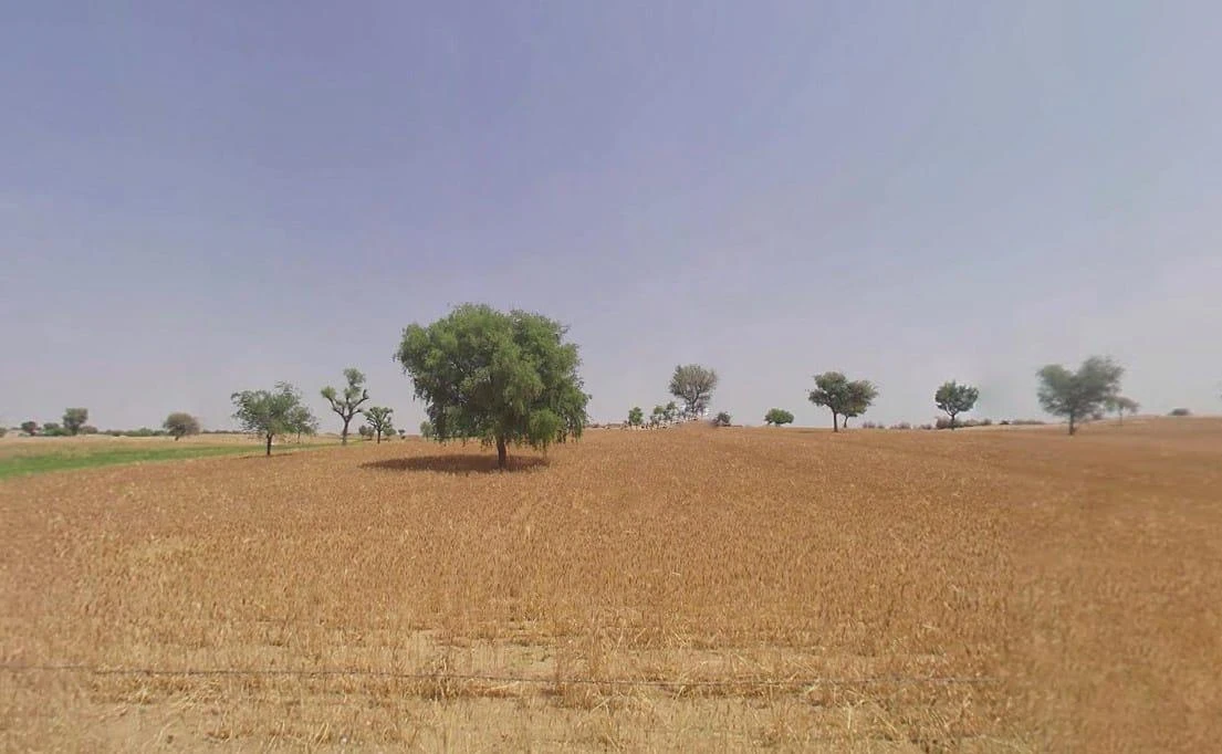 Shri Dungargarh, Rajasthan, India