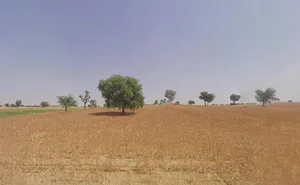 Shri Dungargarh, Rajasthan, India preview 3