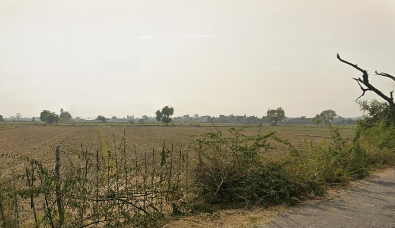 Tigrana, Haryana 127031, India