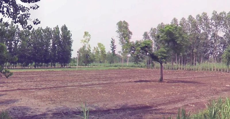 Lodiya, Madhya Pradesh 465001, India preview 2