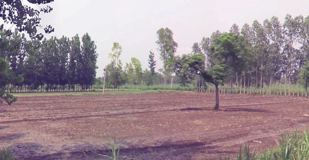 Lodiya, Madhya Pradesh 465001, India