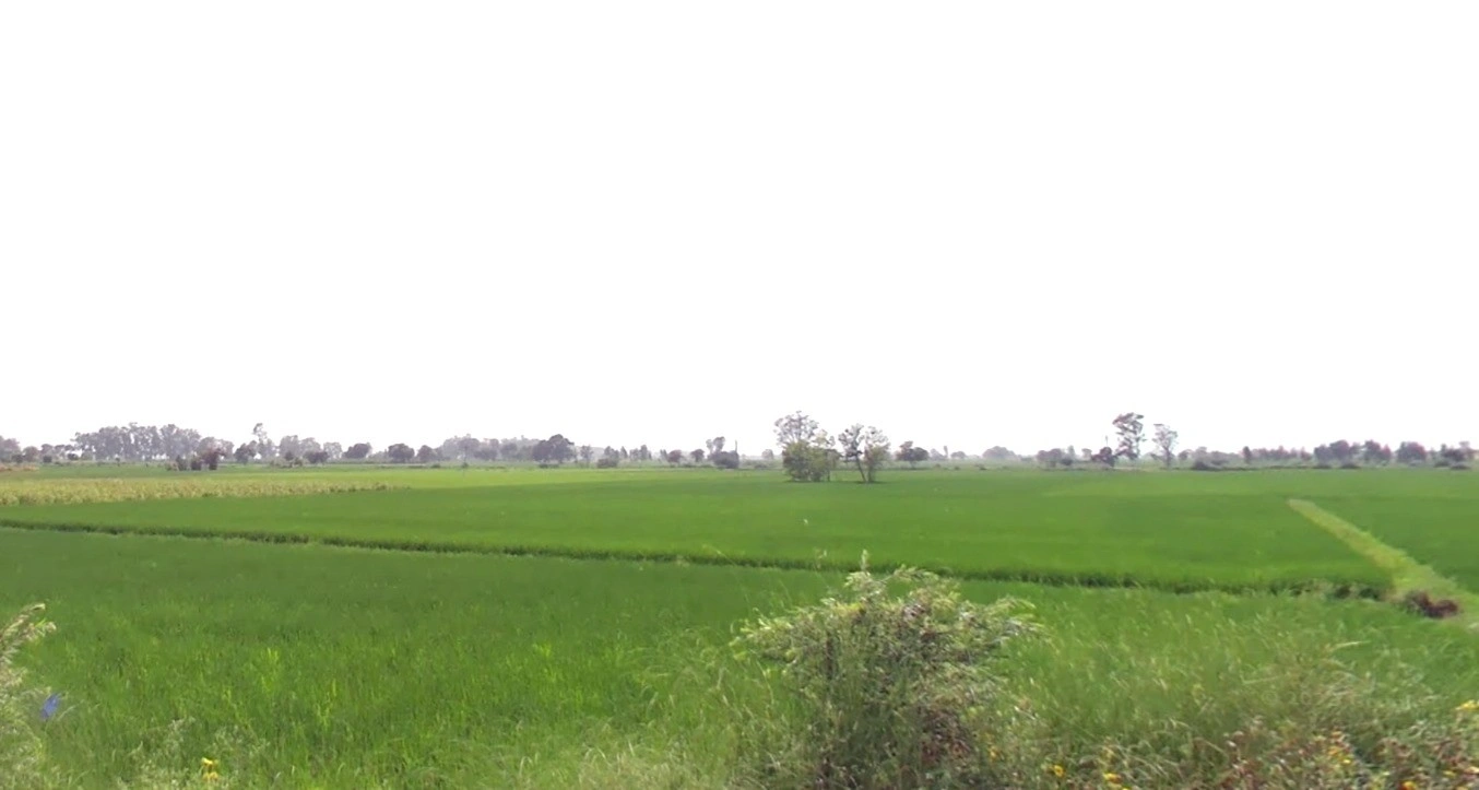 Khemana, Madhya Pradesh 452016, India